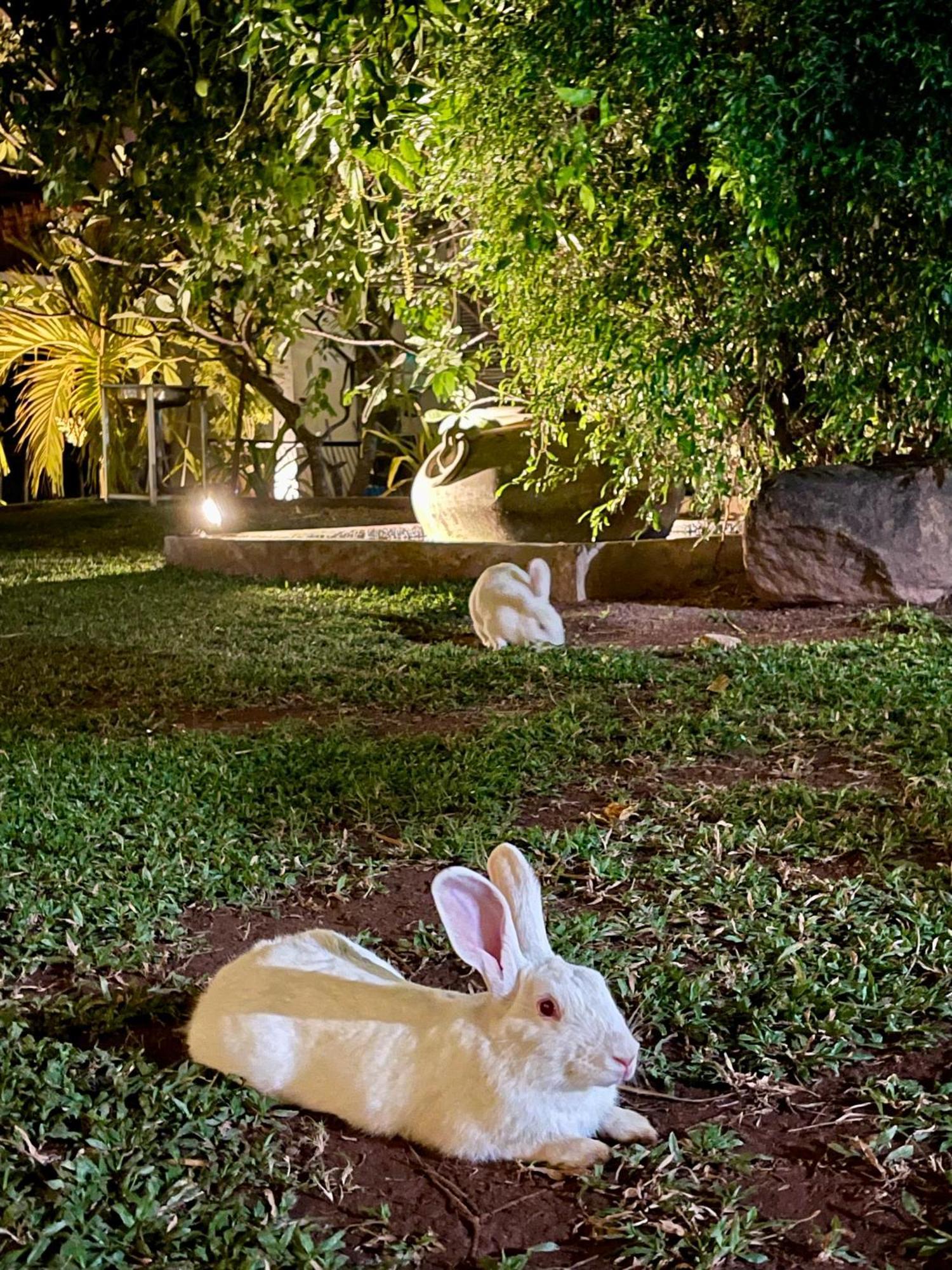 Olanro Negombo Hotel Buitenkant foto